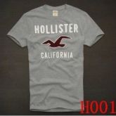 Camisa Hollister