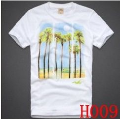 Camisa Hollister